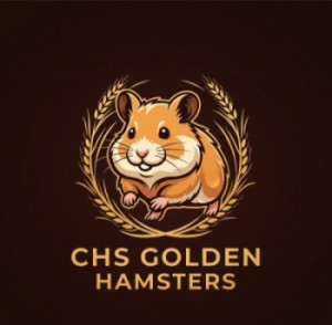CHS Golden hamsters